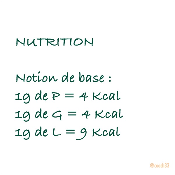 Les bases de la nutrition : les calories